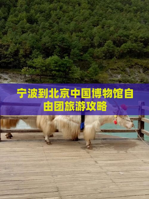 宁波到北京中国国家博物馆自由团