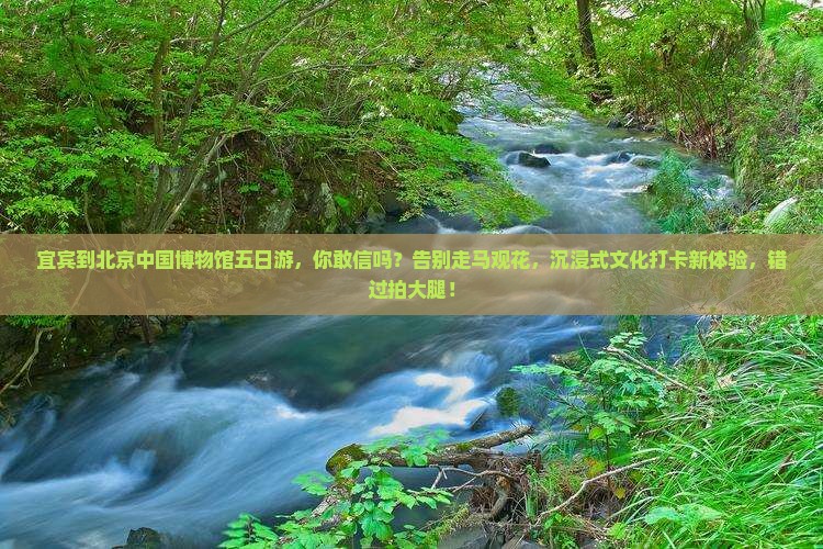 宜宾到北京中国国家博物馆五日游