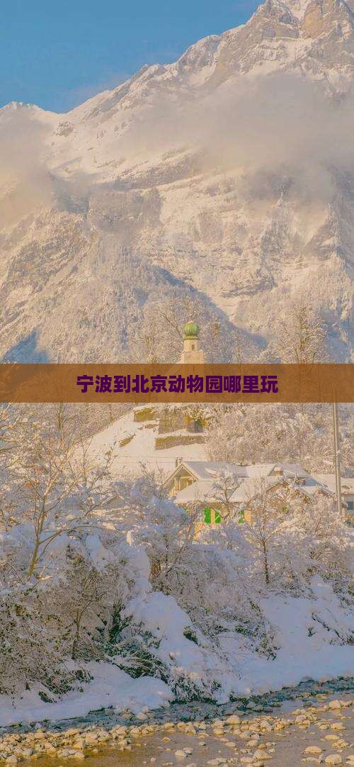 宁波到北京动物园哪里玩