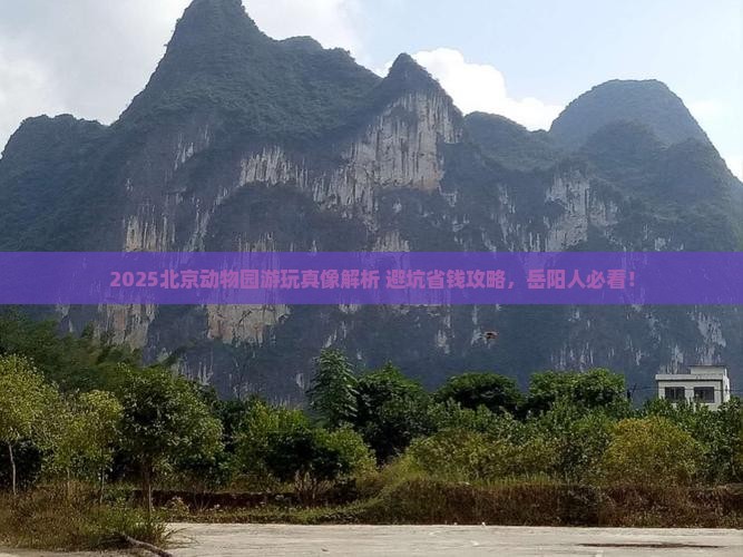 岳阳去北京动物园必去地