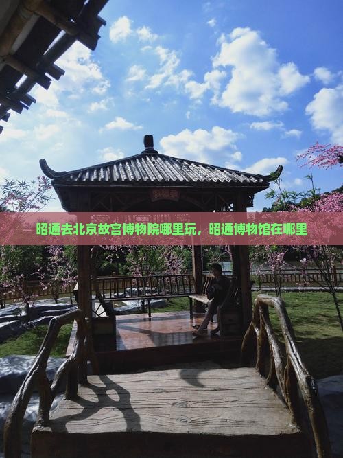 昭通去北京故宫博物院哪里玩