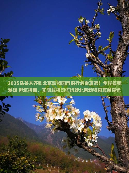 乌鲁木齐到北京动物园自由行
