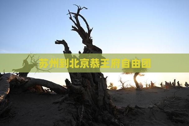 苏州到北京恭王府自由团