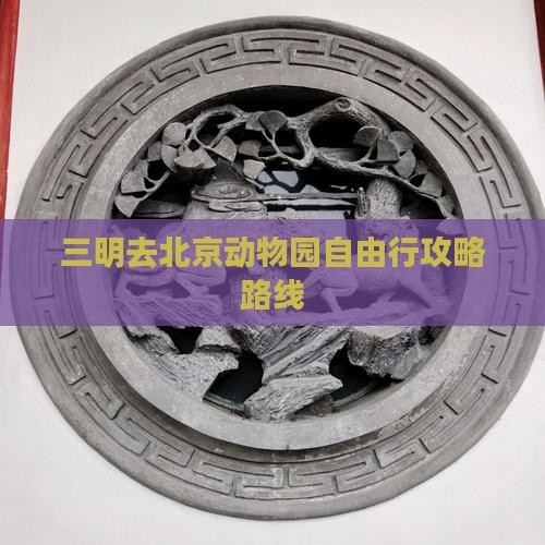 三明去北京动物园自由行
