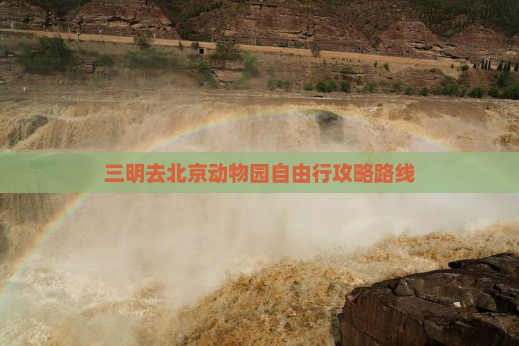 三明去北京动物园自由行