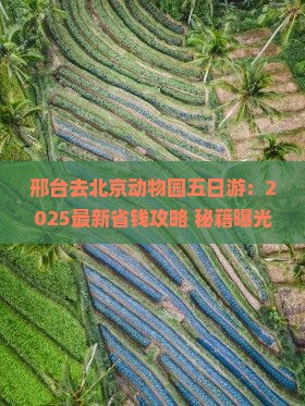 邢台去北京动物园五日游