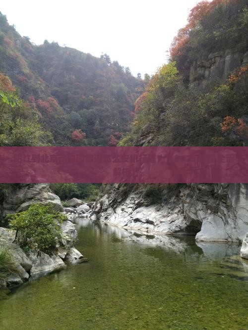 阳江到北京动物园旅游