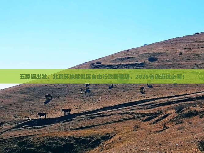 五家渠到北京环球度假区自由团