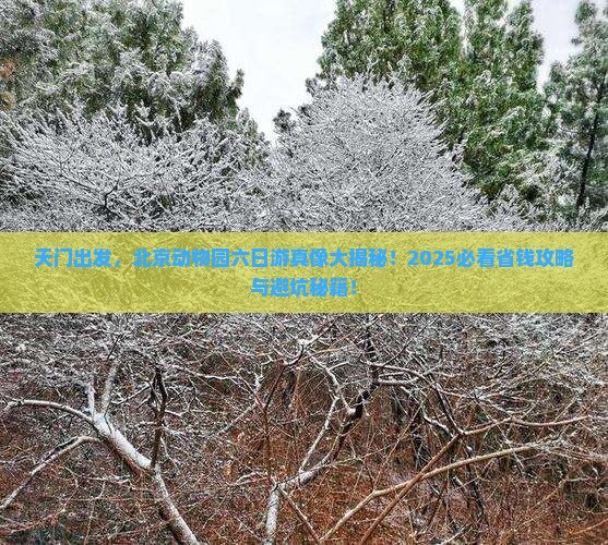 天门去北京动物园六日游