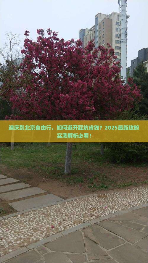 迪庆到北京自由行