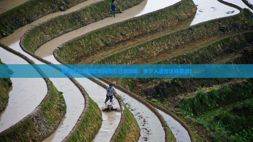 阜阳去北京故宫博物院五日游
