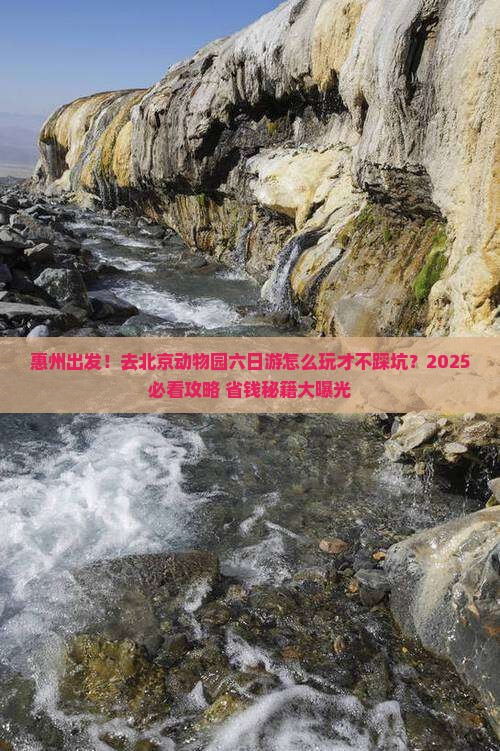 惠州去北京动物园六日游