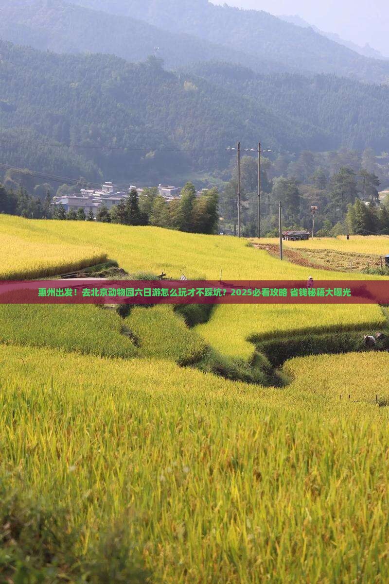 惠州去北京动物园六日游