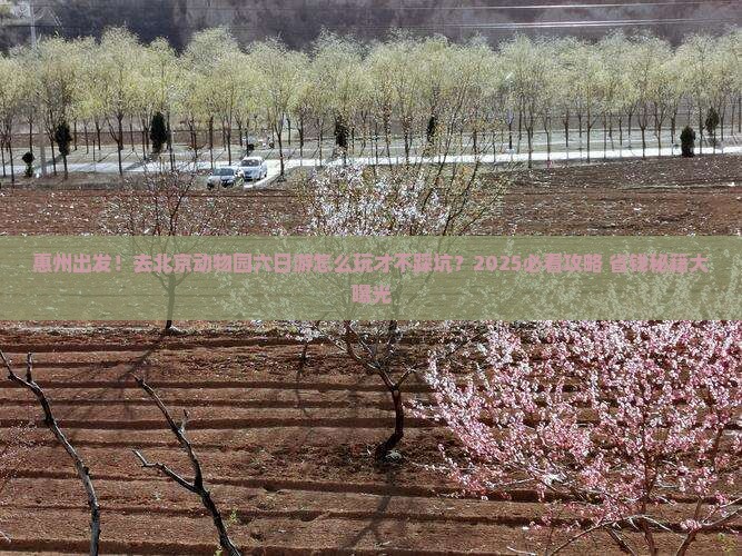 惠州去北京动物园六日游
