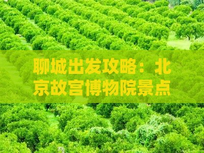 聊城去北京故宫博物院景点