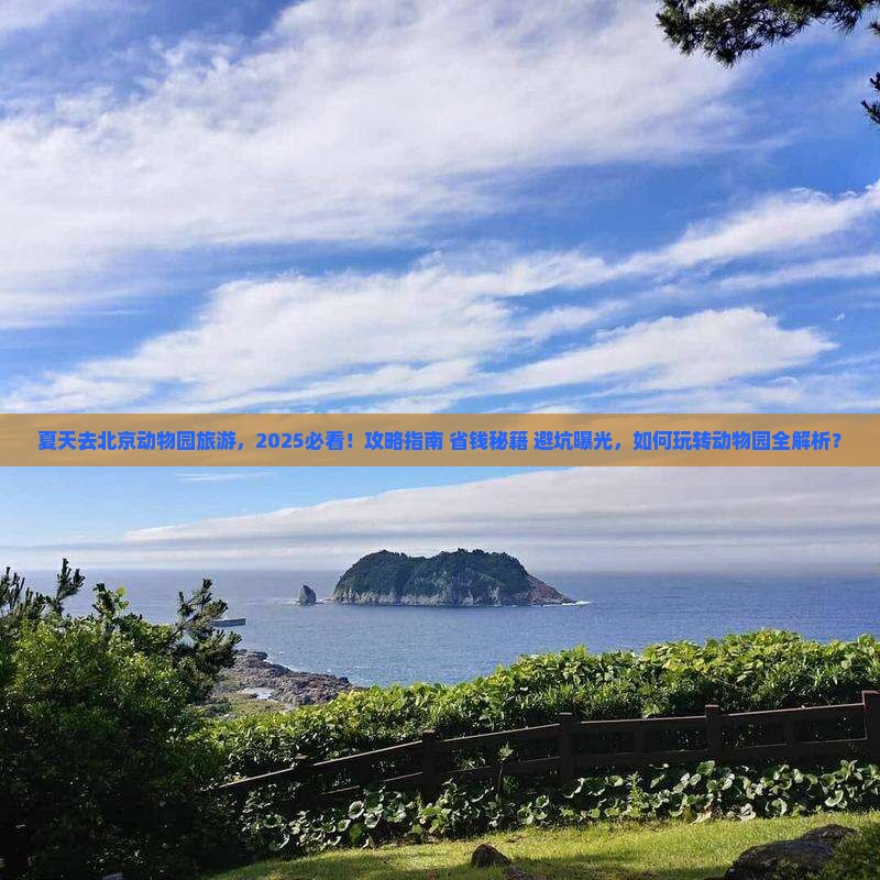 夏天去北京动物园旅游