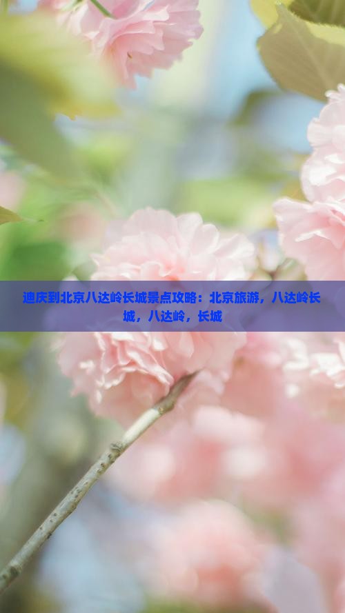 迪庆到北京八达岭长城景点