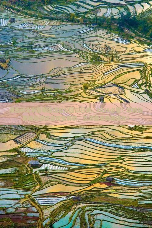 湘西到北京圆明园遗址公园三日游