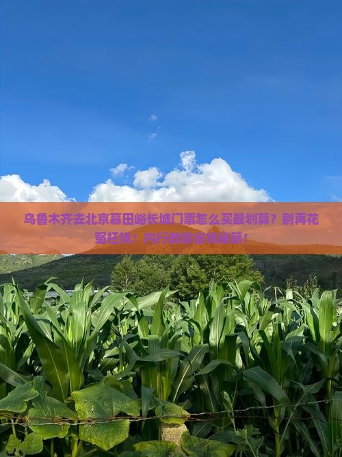 乌鲁木齐去北京慕田峪长城门票