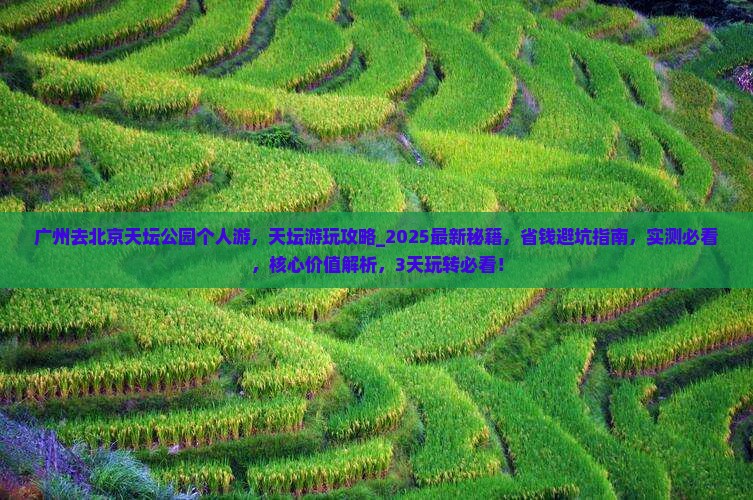 广州去北京天坛公园个人游