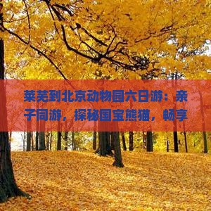 莱芜到北京动物园六日游