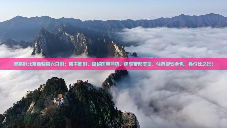 莱芜到北京动物园六日游