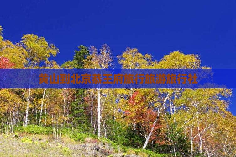 黄山到北京恭王府旅行社