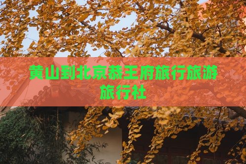 黄山到北京恭王府旅行社