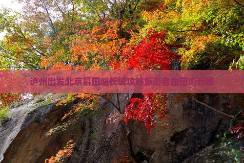 泸州去北京慕田峪长城自由团