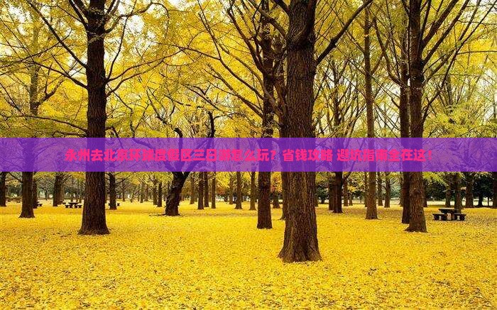 永州去北京环球度假区三日游