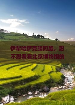 伊犁哈萨克去北京中国国家博物馆六日游