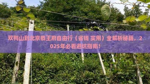 双鸭山去北京恭王府自由团