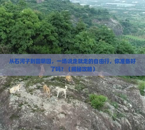石河子到北京圆明园遗址公园自由行
