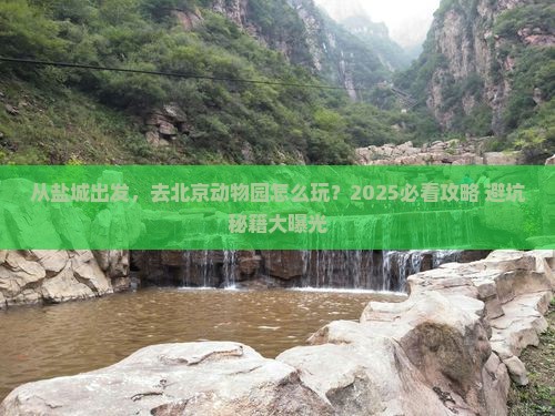 盐城去北京动物园景点