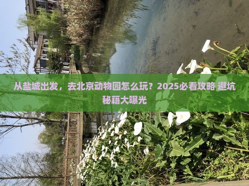 盐城去北京动物园景点