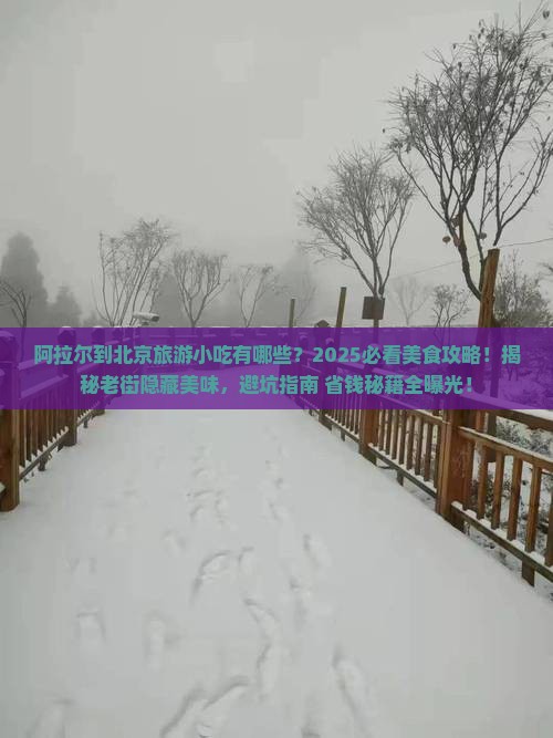 阿拉尔到北京旅游小吃