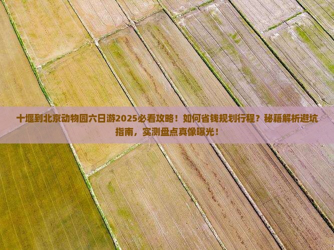 十堰到北京动物园六日游