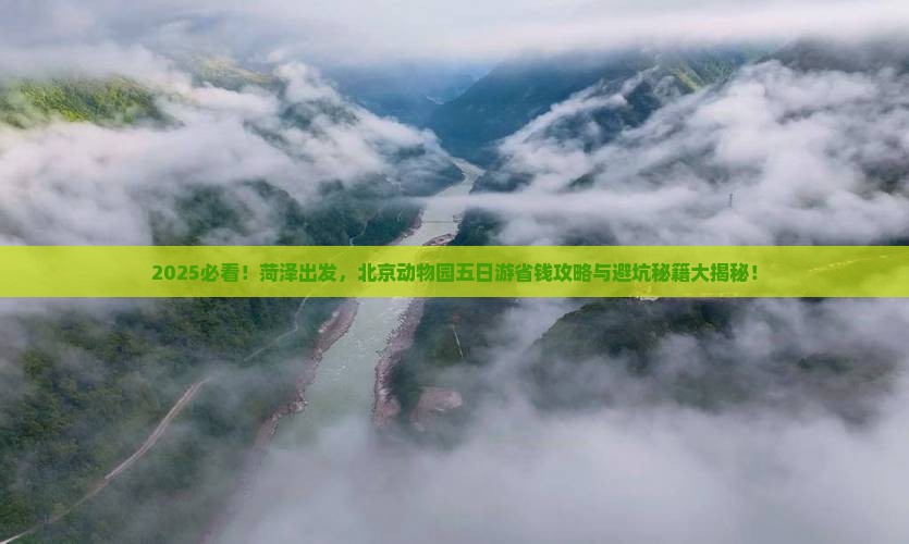 菏泽到北京动物园五日游