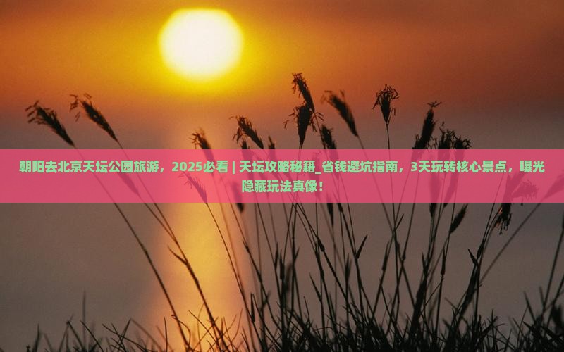 朝阳去北京天坛公园旅游
