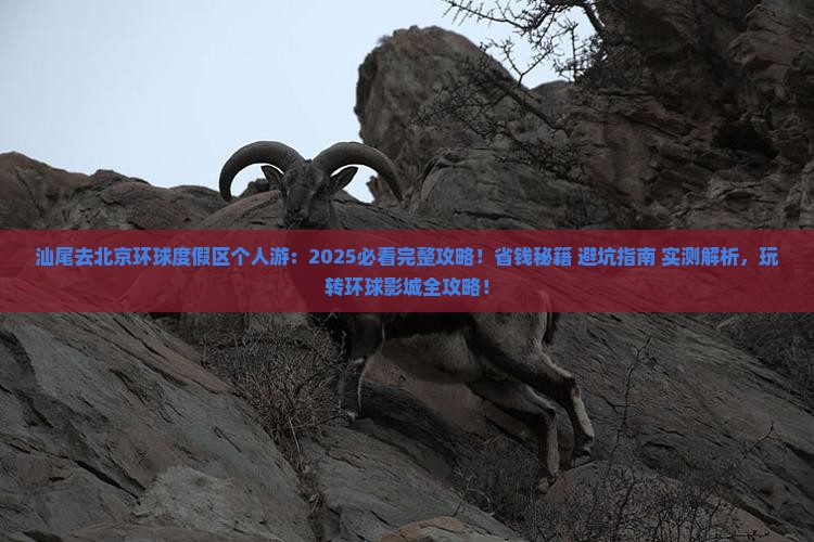 汕尾去北京环球度假区个人游