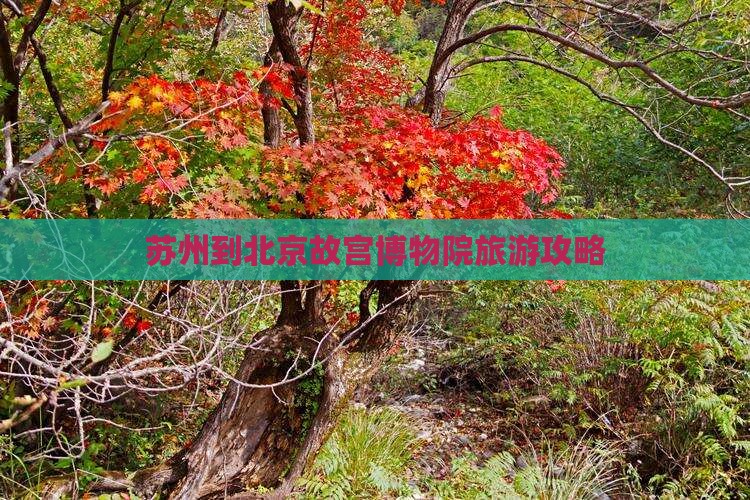 苏州到北京故宫博物院自由行