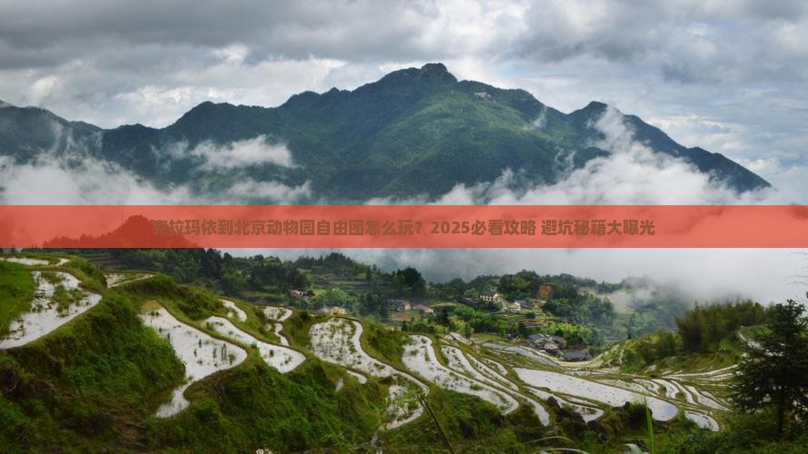 克拉玛依到北京动物园自由团