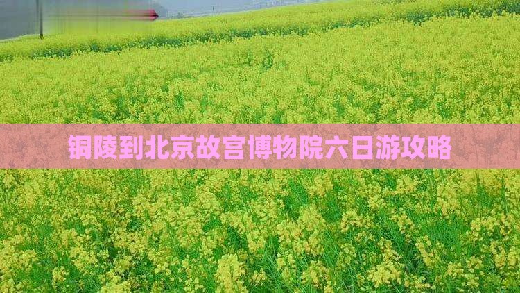 铜陵到北京故宫博物院六日游