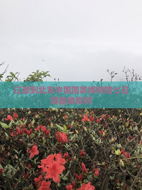 辽源到北京中国国家博物馆七日游 辽源到北京中国国家博物馆七日游