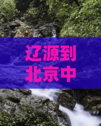辽源到北京中国国家博物馆七日游 辽源到北京中国国家博物馆七日游