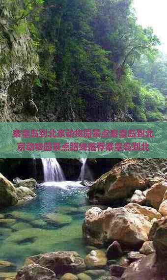 秦皇岛到北京动物园景点