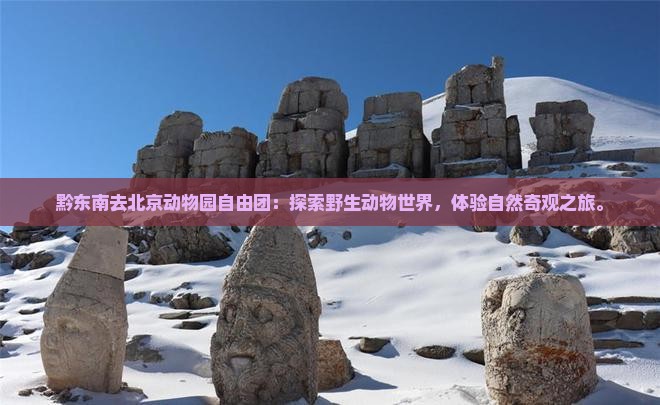 黔东南去北京动物园自由团