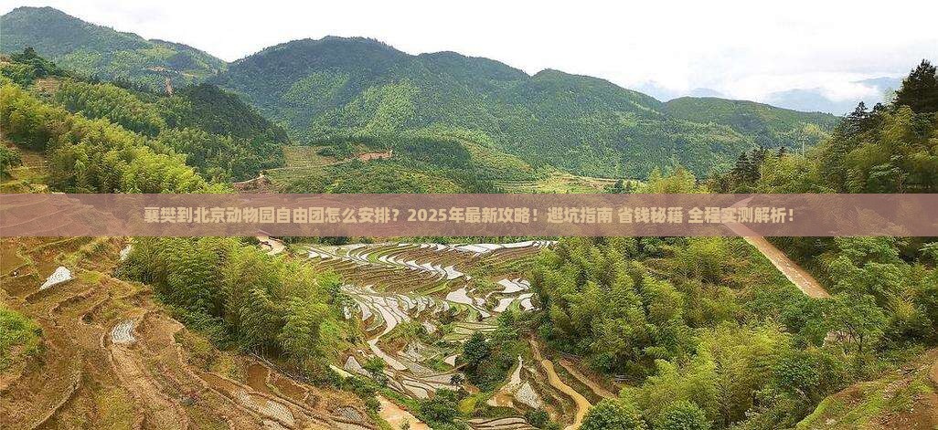 襄樊到北京动物园自由团