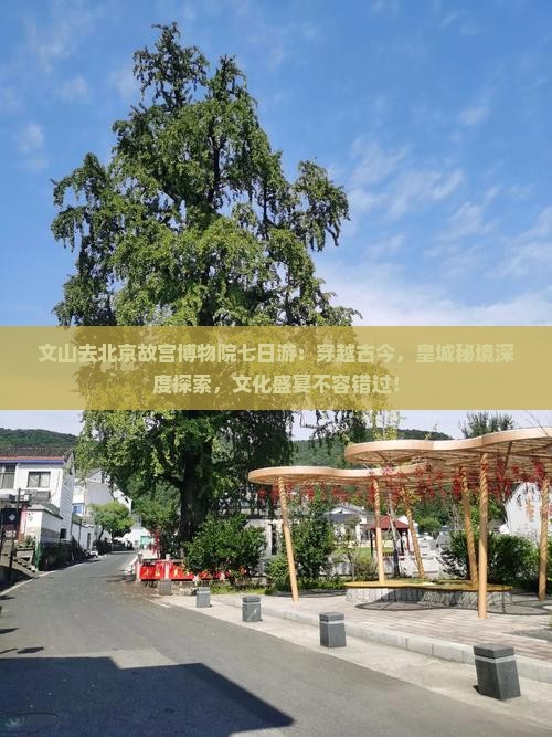 文山去北京故宫博物院七日游