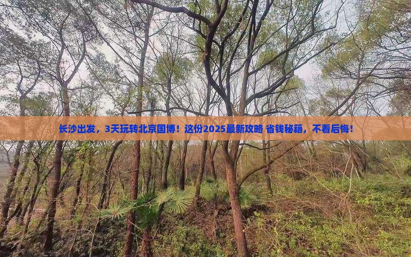 长沙去北京中国国家博物馆三日游